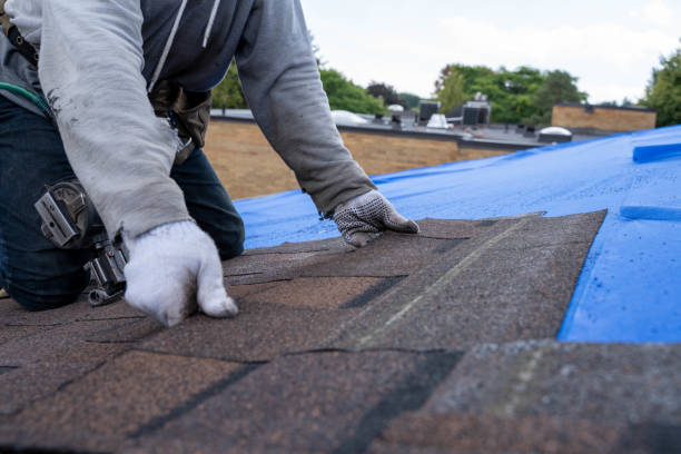 Best Roof Maintenance Services  in Mcclure, PA