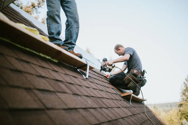 Best Local Roofing Companies  in Mcclure, PA